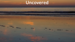 Screen Shot 2020-04-16 at 2.09.46 PM