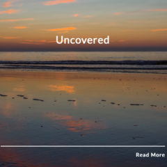 Screen Shot 2020-04-16 at 2.09.46 PM