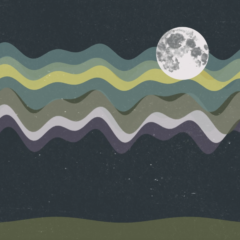 experimental_landscape